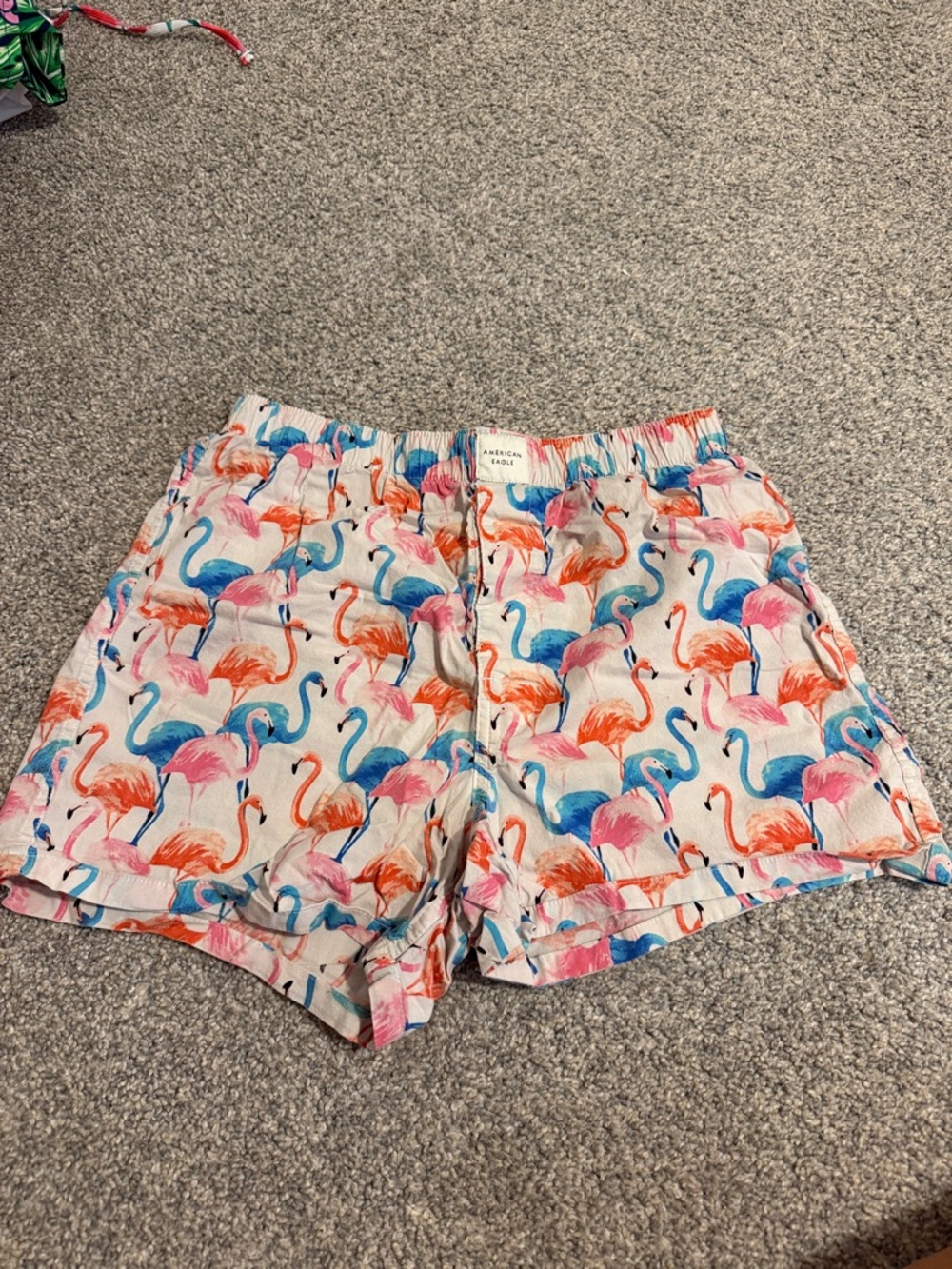 American Eagle Outfitters Flamingo-Print Shorts in Pink, Blue & Orange